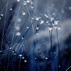 Lost Blinks - Rainy Memories