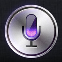 iPhone Siri Understood