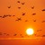 Artwork for Orange Sky (Alexi Murdoch Cover)