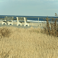 Teachings of a Parallel Winter