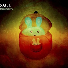 Saul - Summer Ends
