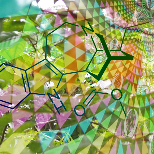 ✌Dark Psychedelic Ibogaine Treatment Soundtrack✌