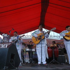 01. Solo quiero tu amor - SOLTERITOS - HOMENAJE A CAYAMBE