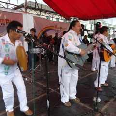 05. Mosaico cayambeño (Piedrita del rio-juan montalveña) - SOLTERITOS - HOMENAJE A CAYAMBE