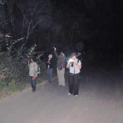 Flume - Sleepless (OKLobby Remix)