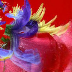 Flowerdrive! - Florecer/Lipso