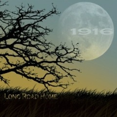 1916 - Long Road Home - 09 - Wild Rover