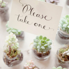 Give & Take - MYZ