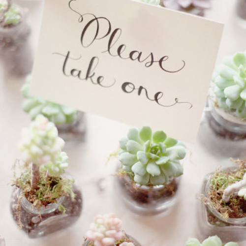 Give & Take - MYZ