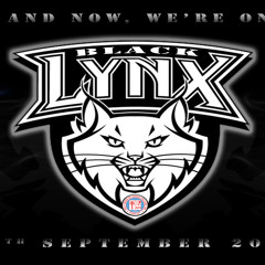 HCDC BLACK LYNX CHEERDANCE MUSIC MIX 2012