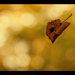 October - Detz