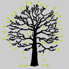 The Curvs-Things The Grand Children Should Know  (Eels)