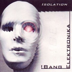 !BANG ELEKTRONIKA -  Die Kontrolle