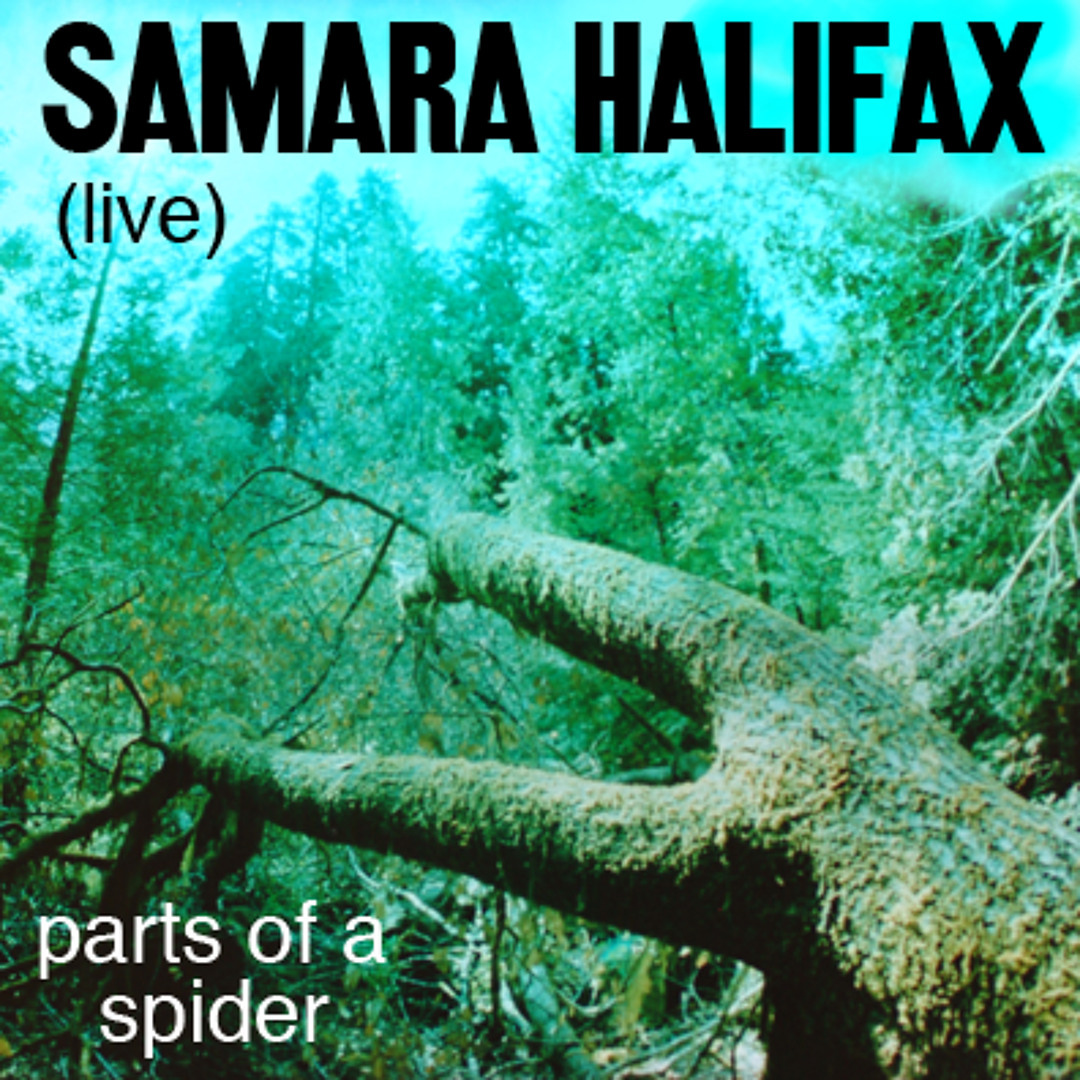 Stream Parts of a Spider. by Samara Halifax | Listen online for free on ...