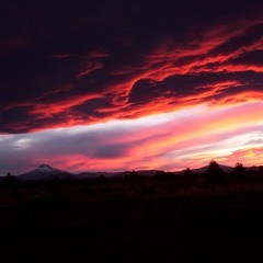 This new day is beautiful.