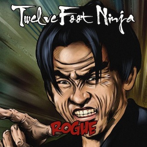 twelve foot ninja shirt
