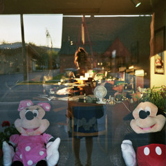 You Went to Harvard, I Went to Jail