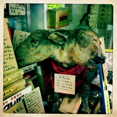 A Straight Version Of Terabu