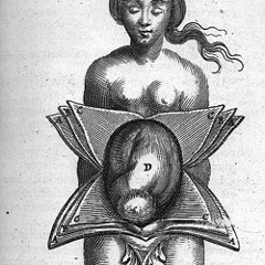 Dirtblonde - Your Story