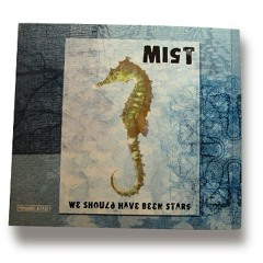 Mist - We Should Have Been Stars