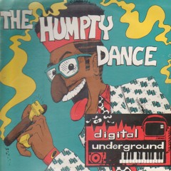 Digital Underground - Humpty Dance karaoke