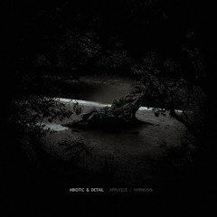 SX 007 (A) Abiotic & Detail - Applique