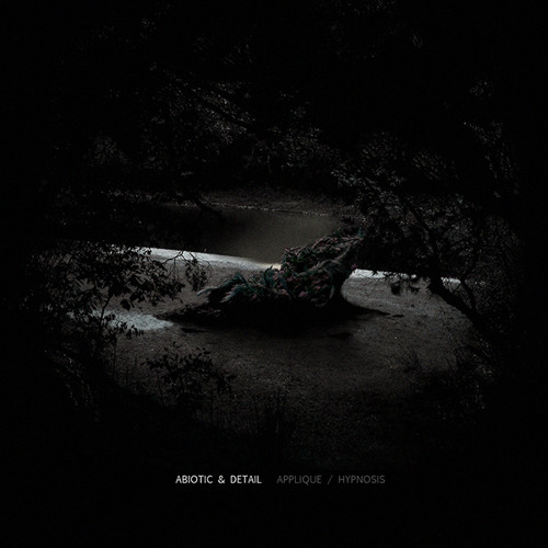 SX 007 (A) Abiotic & Detail - Applique