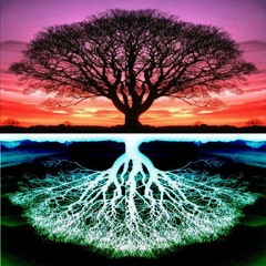 Blossoming Universe