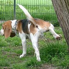 Ch FaSt ft. Ch ONE - Jeder das was er verdient