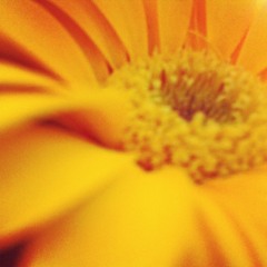 Uno a uno- Eggo Moiz  Feat Ana Ferper