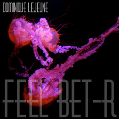 Dominique LeJeune - Feel Bet-r