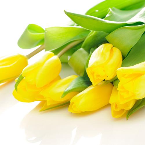 It's Your Day