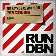 Tim Royko & Cosmo Klein - Everlasting Now (DBN Remix)