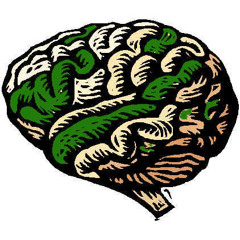 The Dark Green Meme - Green Genes Groove