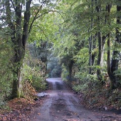 BIG ON LANE - AL ROYAL/SOLDJASOULZ (M) [FREE DOWNLOAD]