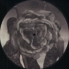 Vinyl Roulette