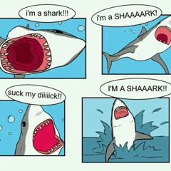 Shark, Gimme Back My Napkin