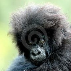 TOBY DOWN - Breaks 2 Jungle