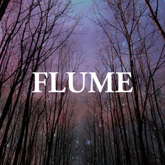 Flume - Sleepless (Willie G. Edit)