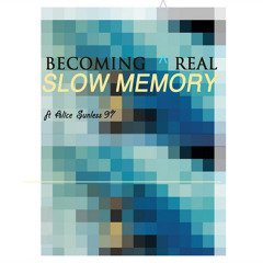 Becoming Real - Slow Memory (Damu Remix)
