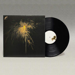 Daisuke Tanabe - Coil