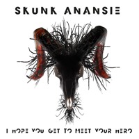 Skunk Anansie - I Hope You Get To Meet Your Hero (Daddy’s Groove & Cryogenix remix)