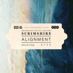 Scrimshire - Alignment (permafrost remix)