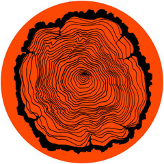 Basti Grub - Willbefine ≈Original Mix≈ ♛
