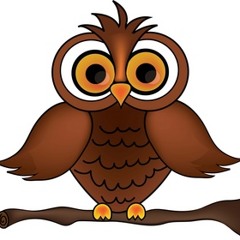 Fireflies- Owl City Cover