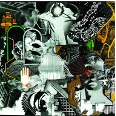 Raglani - The Exploded View