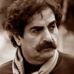 شهرام ناظری مقام مجنونی