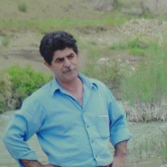 علی اکبر مرادی مقام غریبی