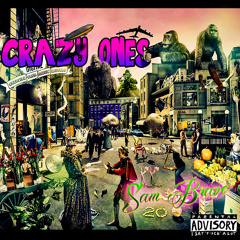 Sam Brave - Its like that