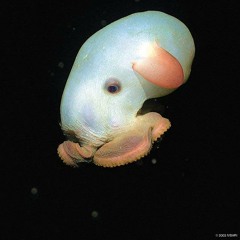 Bleeding Eyes (Demo)